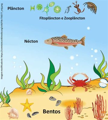  Zebra Mussel: Conhecendo o Molusco Que Se Aferra aos Ambientes Aquáticos e Transforma Ecossistemas!